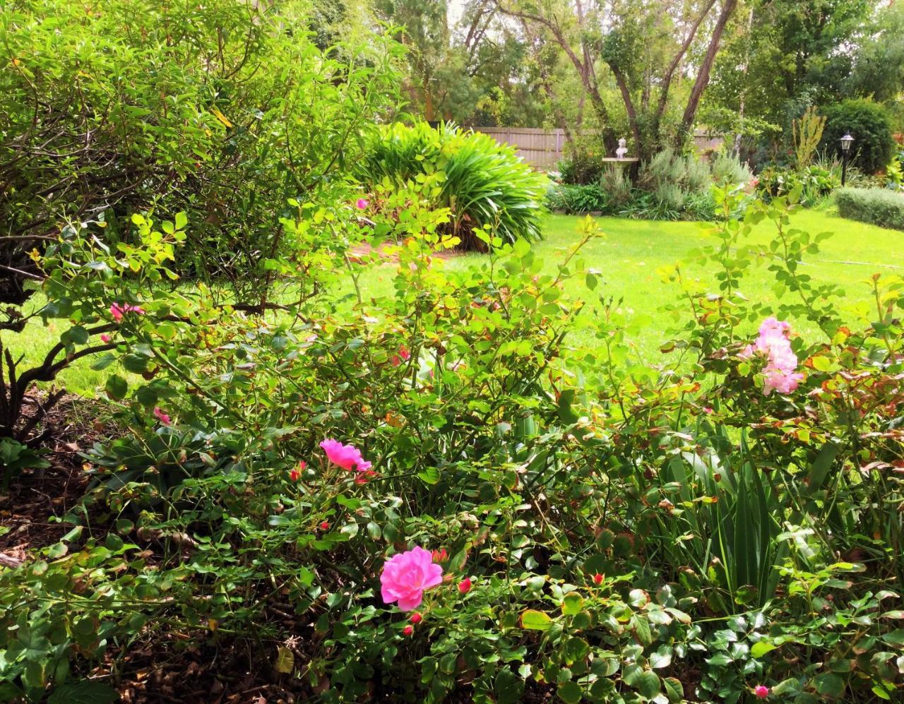 Bindley House B&B Cottage Kilmore Luaran gambar